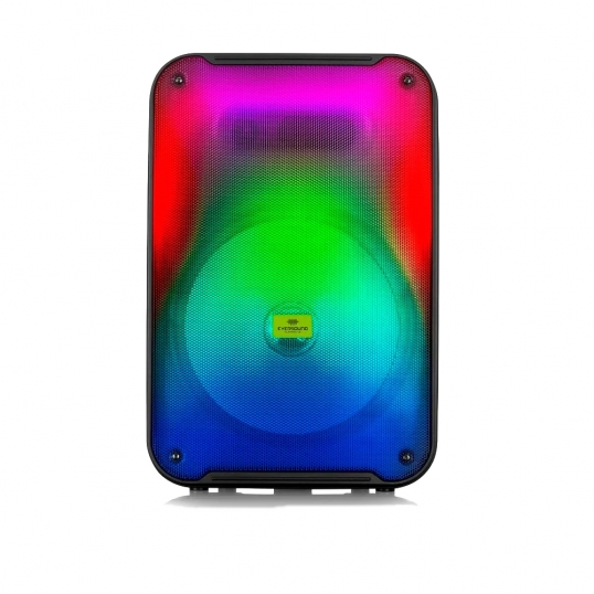 Parlante Eversound 3001 Flaming 12"