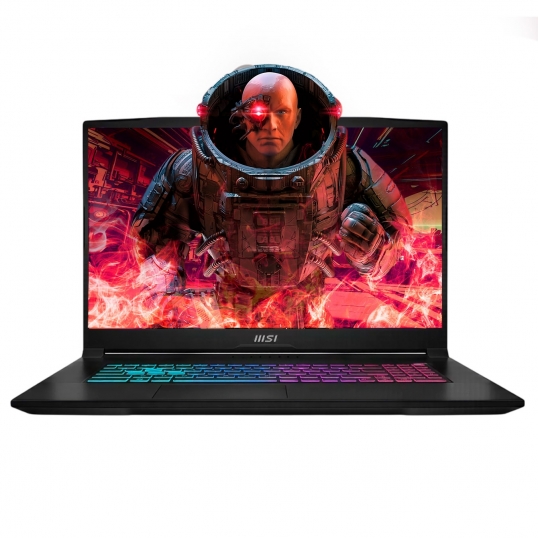 Laptops MSI KATANA 17 B13VFK 17.3”  Intel Core i7-13620H  - 1