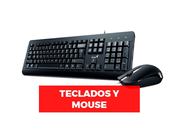 Teclados, Mouse & Pad mouse